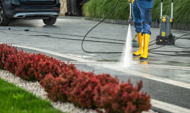 Best Driveway Pressure Washing  in El Paso, TX